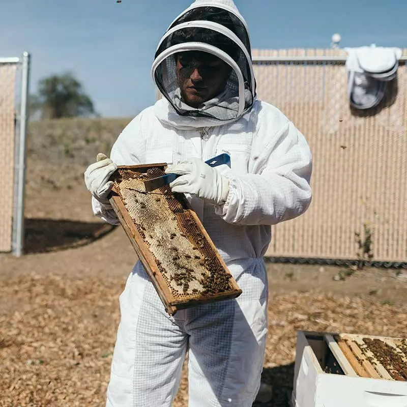 Person holding a bee hive in protective suit